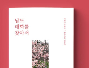 기사이미지