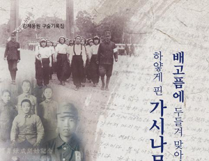 기사이미지