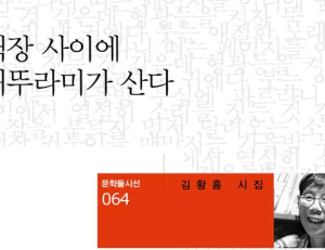 기사이미지