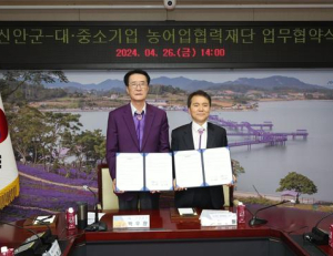 기사이미지
