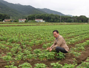 기사이미지
